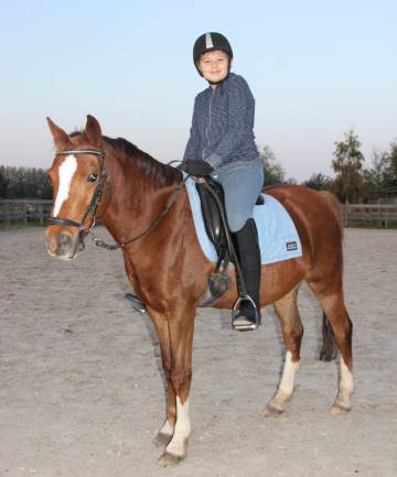mild Goed doen Identiteit Therapeutisch paardrijden met autisme. Een uitgave in samenwerking met  Jong010 l Fonds Kind & Handicap