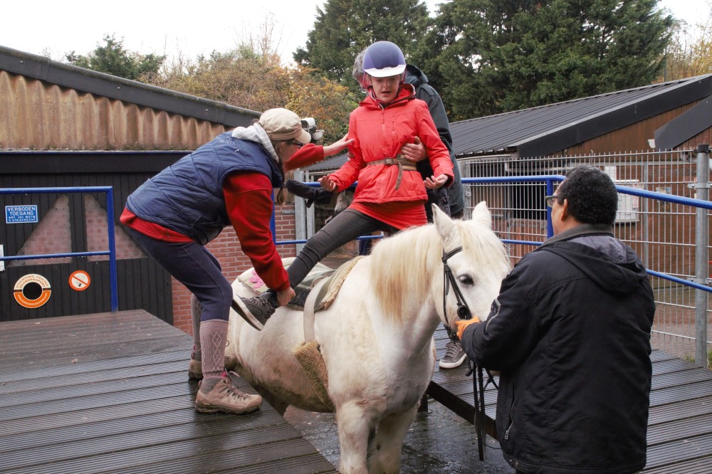 Vrijwillgers_madurodam_manege.jpg